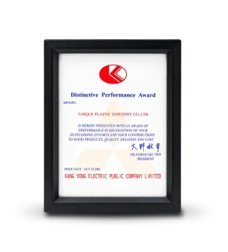 Distinctive Performance Award